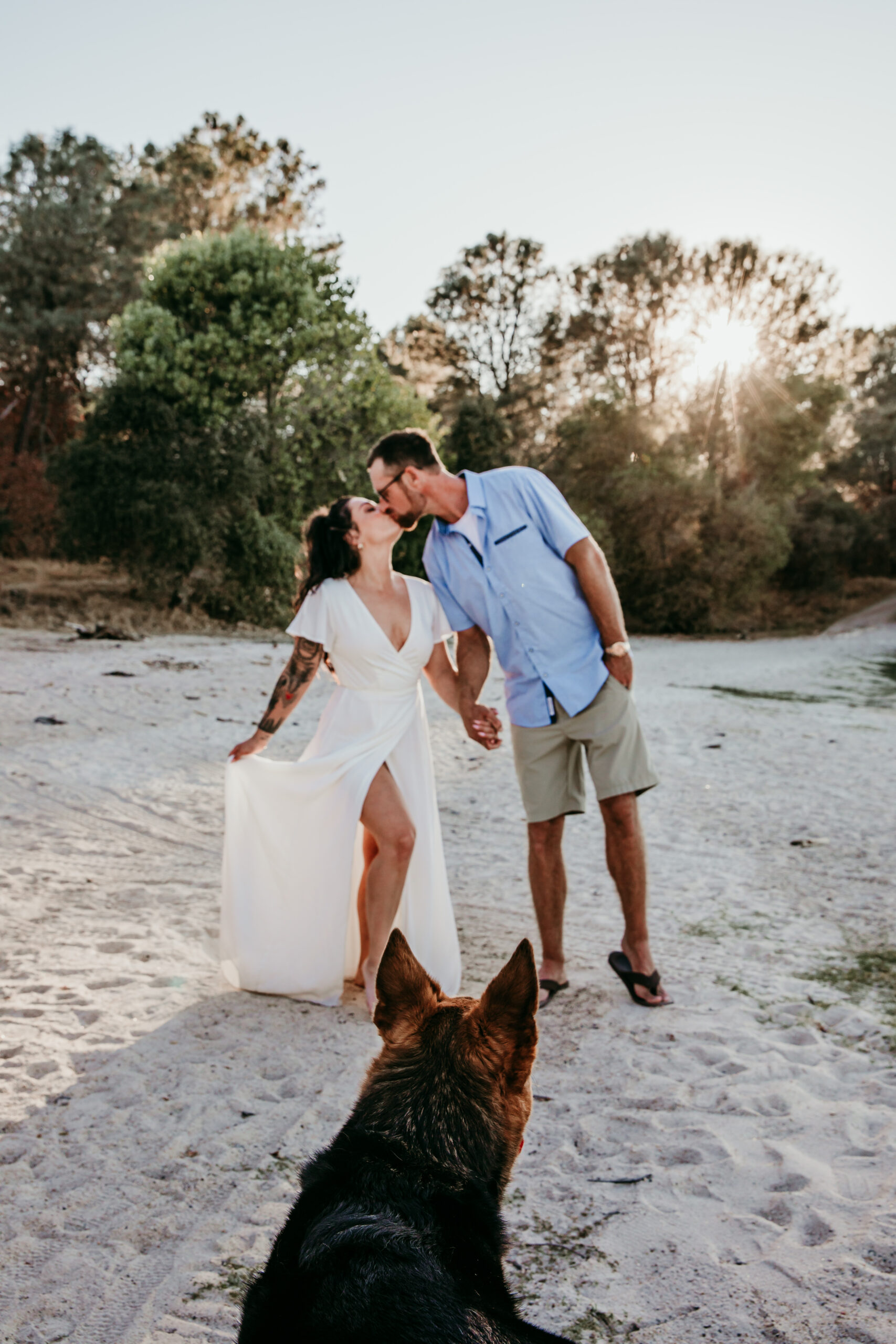 engagement photos with dogs