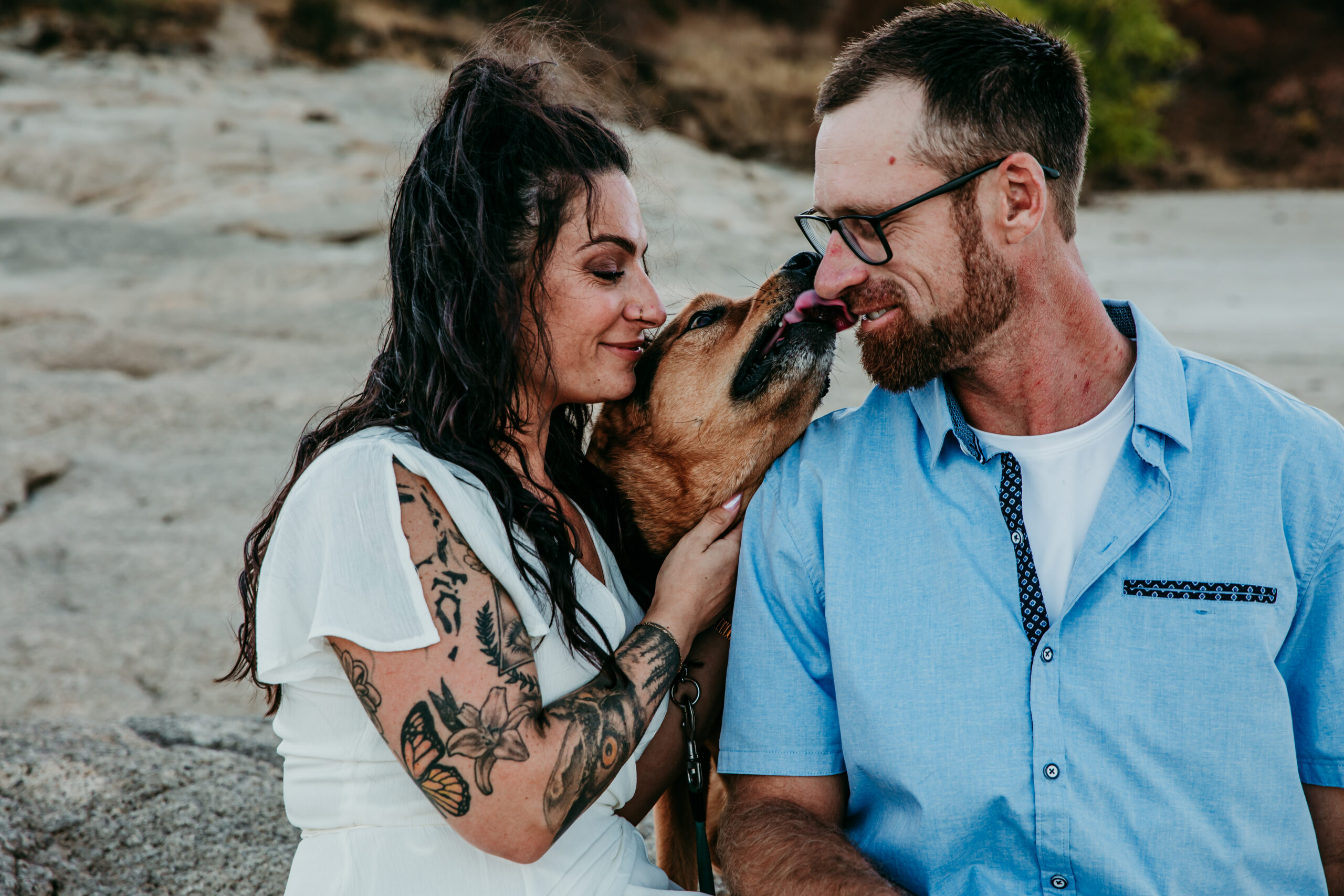 engagement photos with dogs