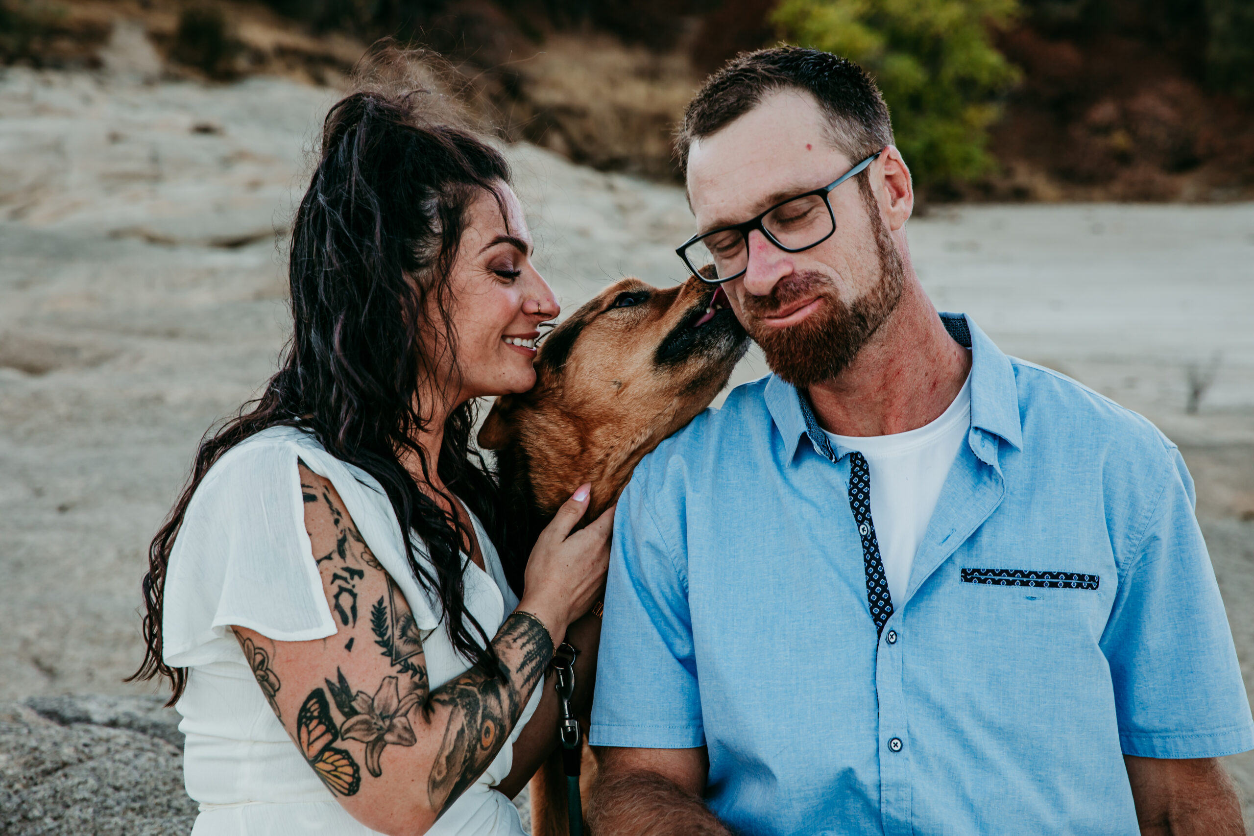 engagement photos with dogs