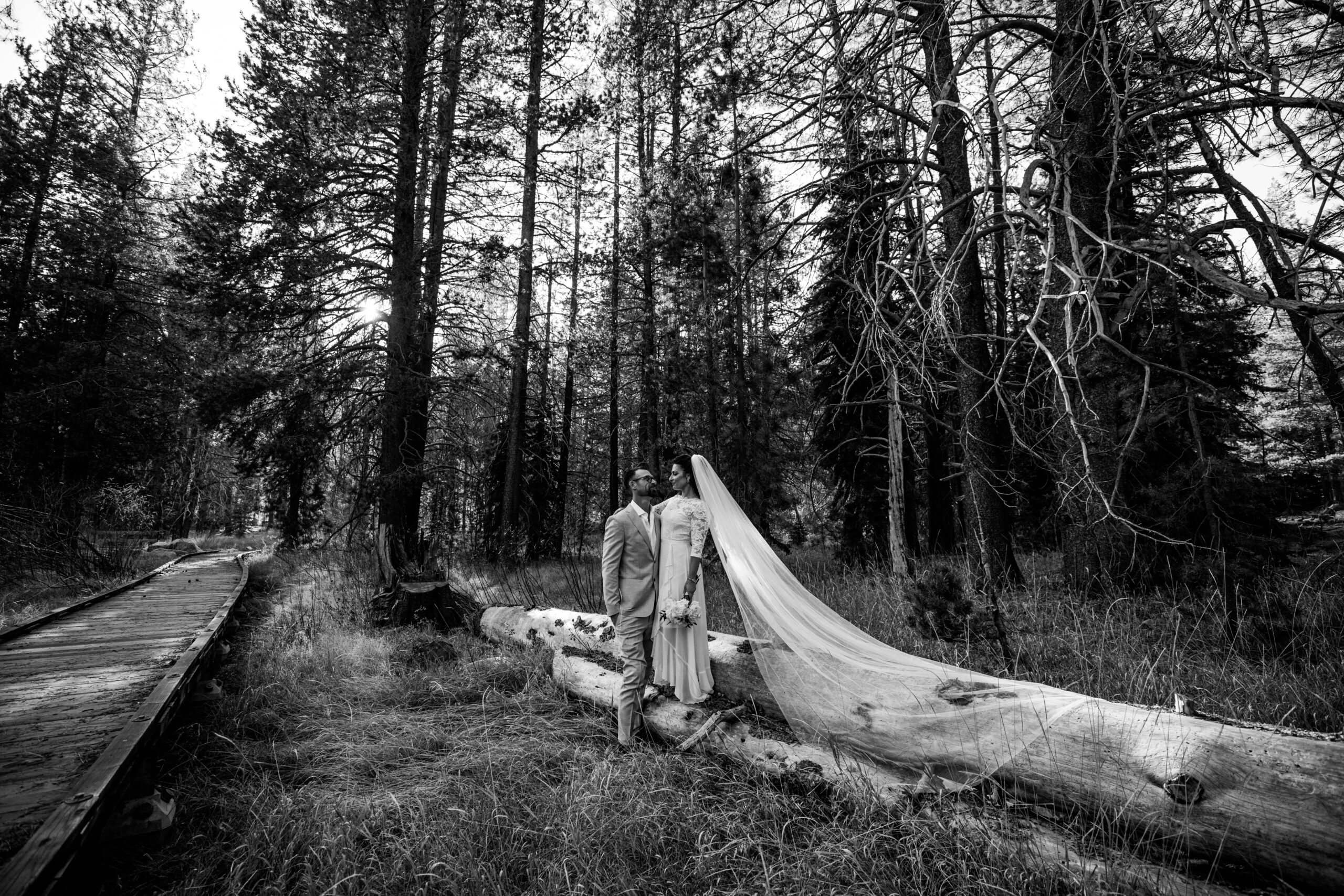 elope in lake tahoe