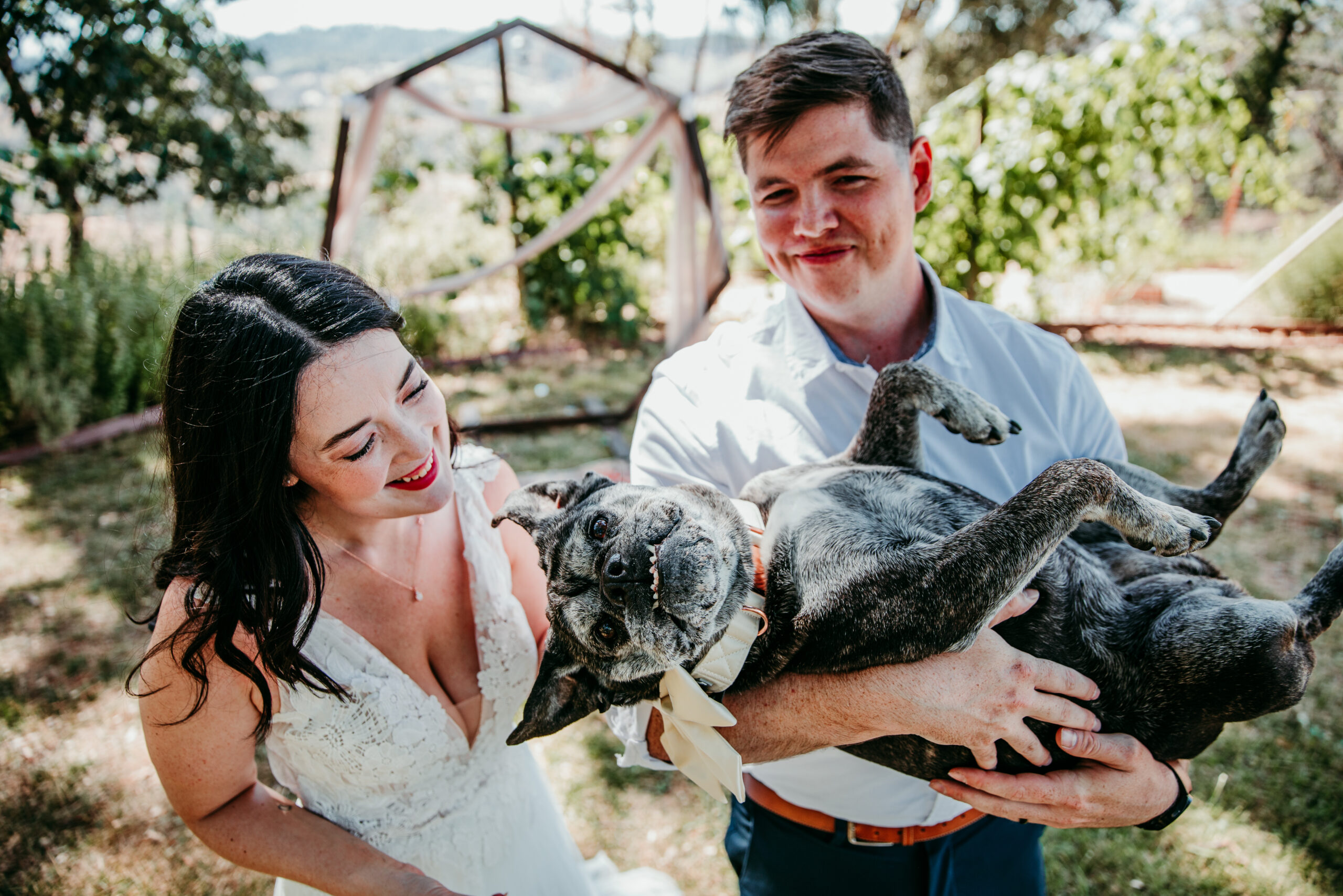 Groom holding their dog while the bride laughs during a joyful Airbnb elopement in Grass Valley CA.