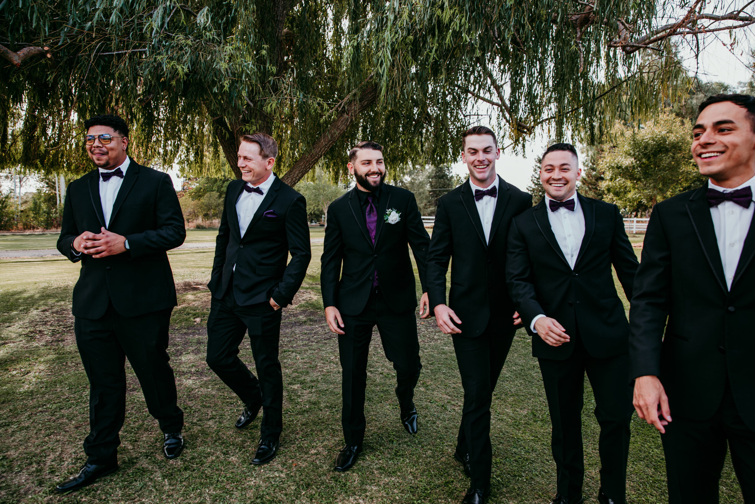 Groom and groomsmen laughing and walking together in tuxedos under willow trees at a fall backyard wedding in Vacaville, CA