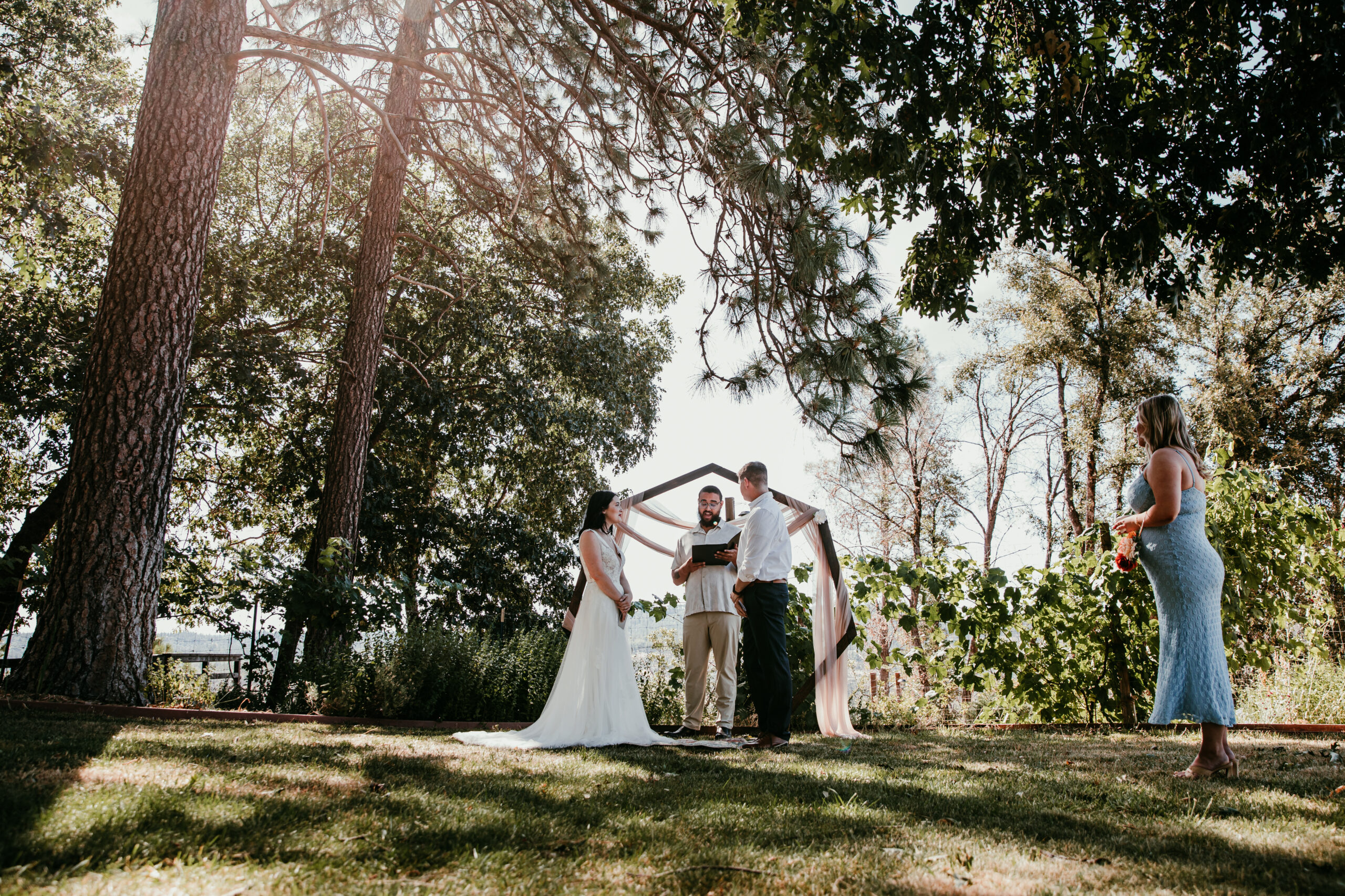 Bride and groom exchanging vows under tall trees at a backyard Airbnb elopement in Grass Valley CA, with their two best friends and officiant present.