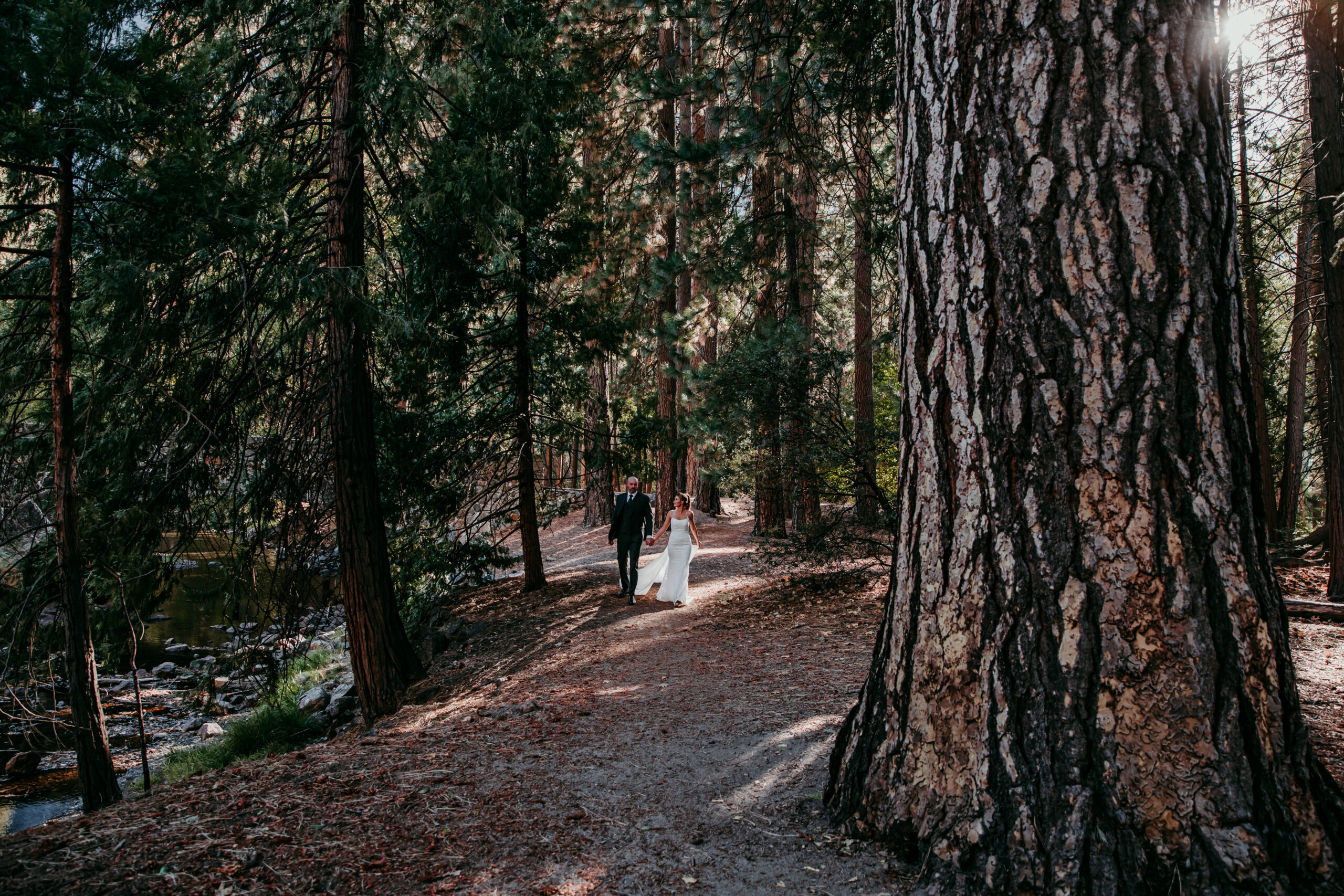 Couple walking hand in hand through a forest trail in Yosemite, showing how to elope in California with a peaceful, intimate woodland setting.