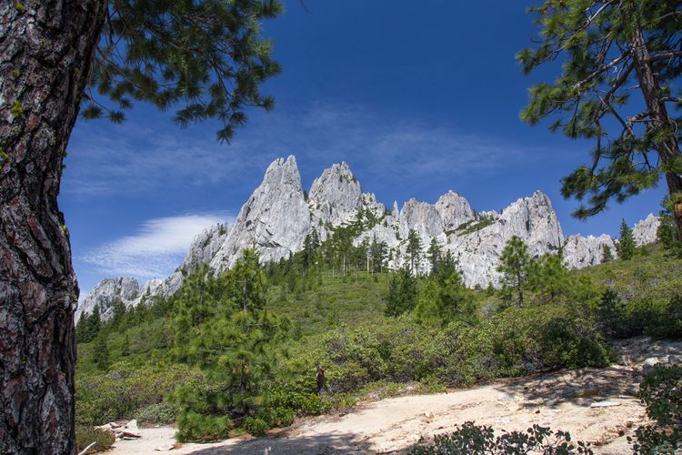 Granite spires at Castle Crags State Park rising above pine forest and chaparral beneath a clear blue sky in Northern California.