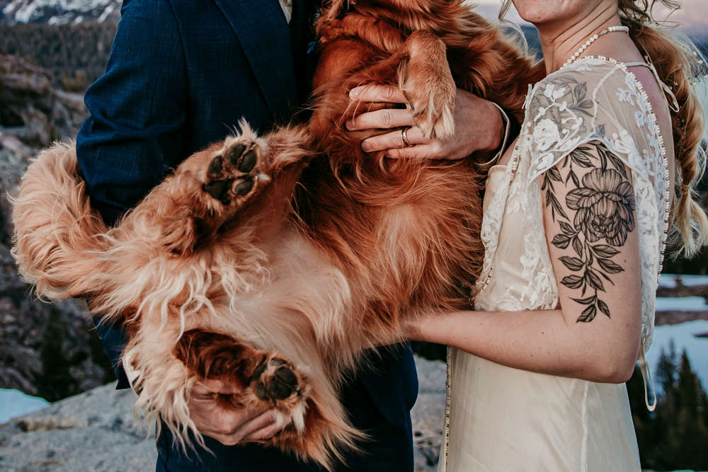 Close-up of a bride and groom holding their golden retriever belly-up, showing its fluffy paws and the bride’s floral arm tattoo.