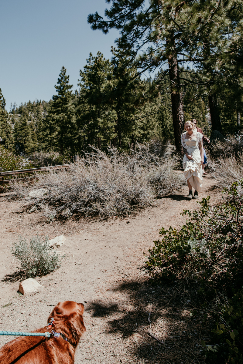 Bride walking toward the ceremony site with her golden retriever at Logan Shoals Vista Point elopement