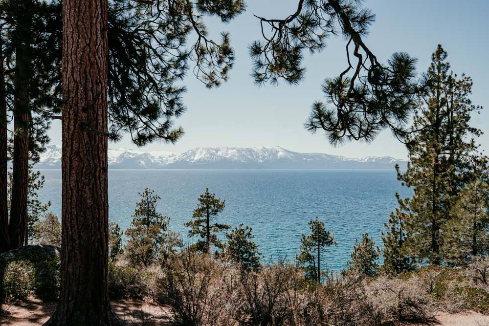Lake view framed by pine trees at Logan Shoals Vista Point elopement in Lake Tahoe
