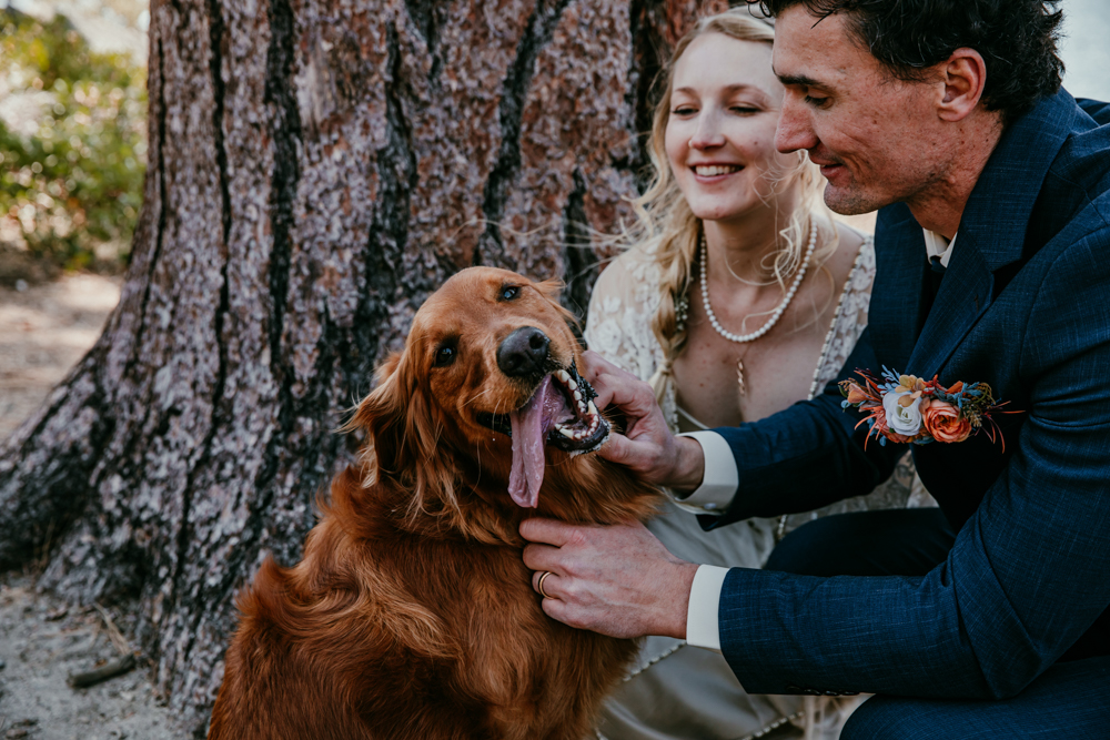 Bride and groom laughing as they pet their golden retriever under a tree at their Logan Shoals Vista Point elopement