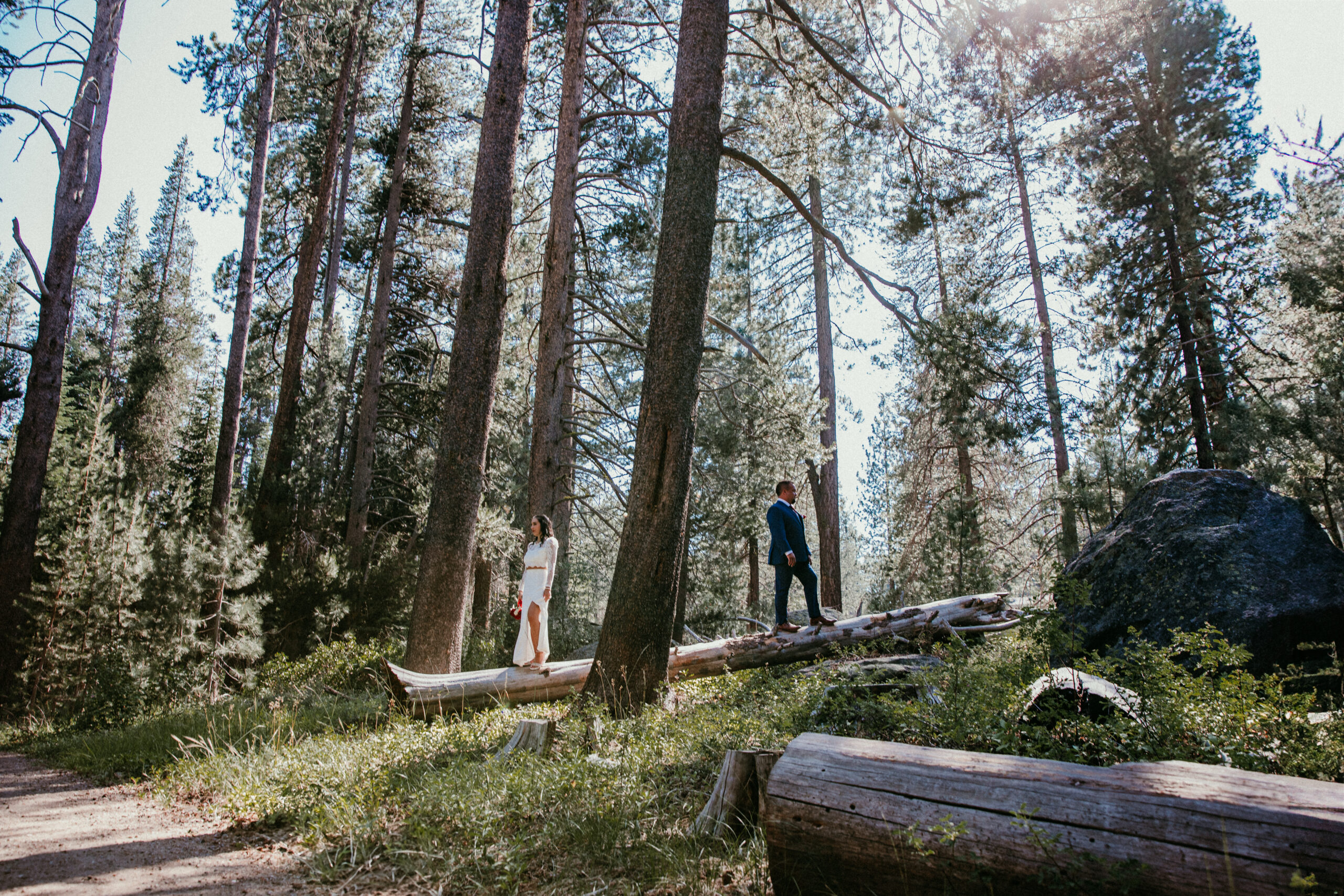 Elopement in Lake Tahoe couple walking through tall pine trees with sunlight streaming through the forest.