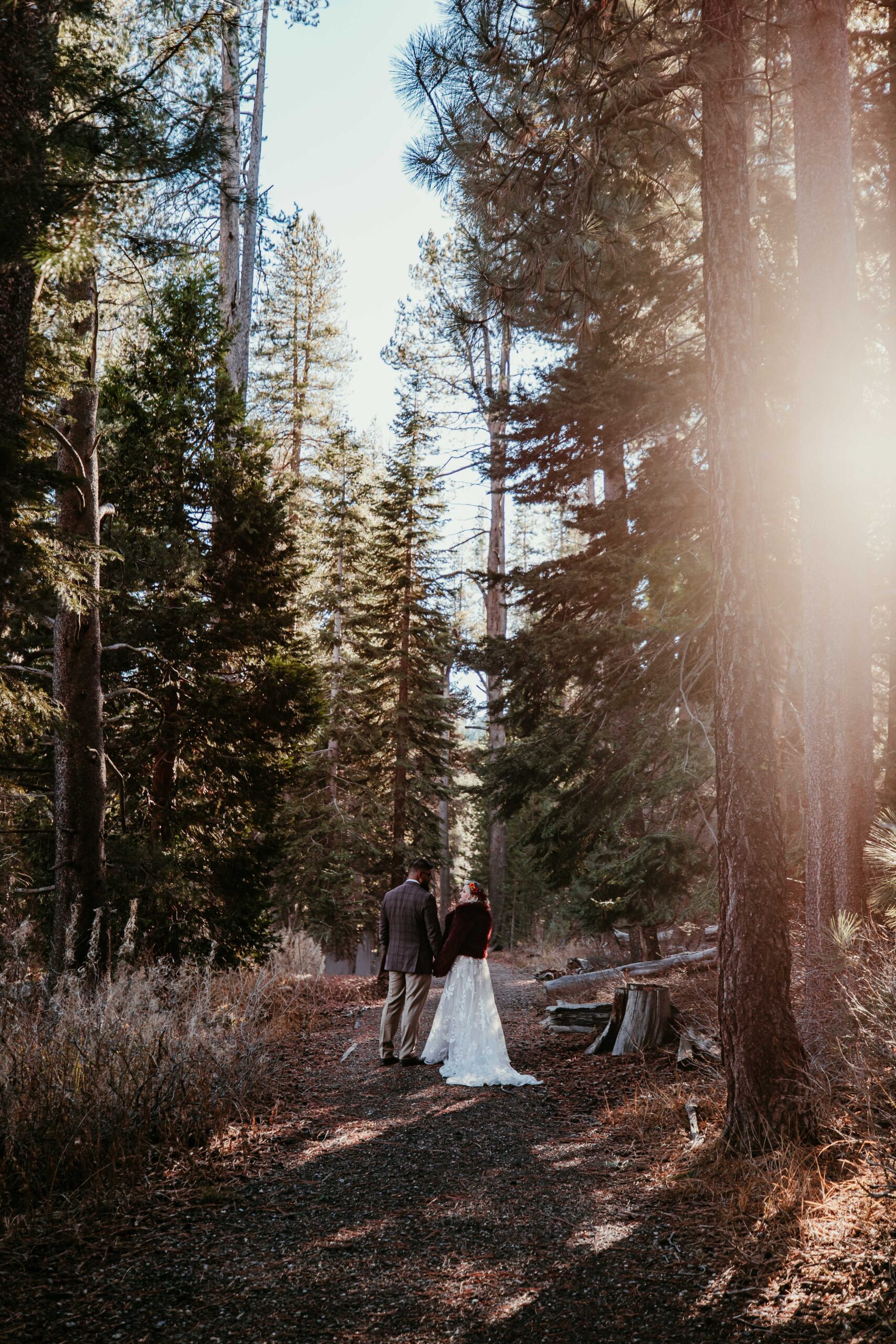 Couple walking hand in hand through a pine forest during their Truckee winter elopement near Donner Lake.
