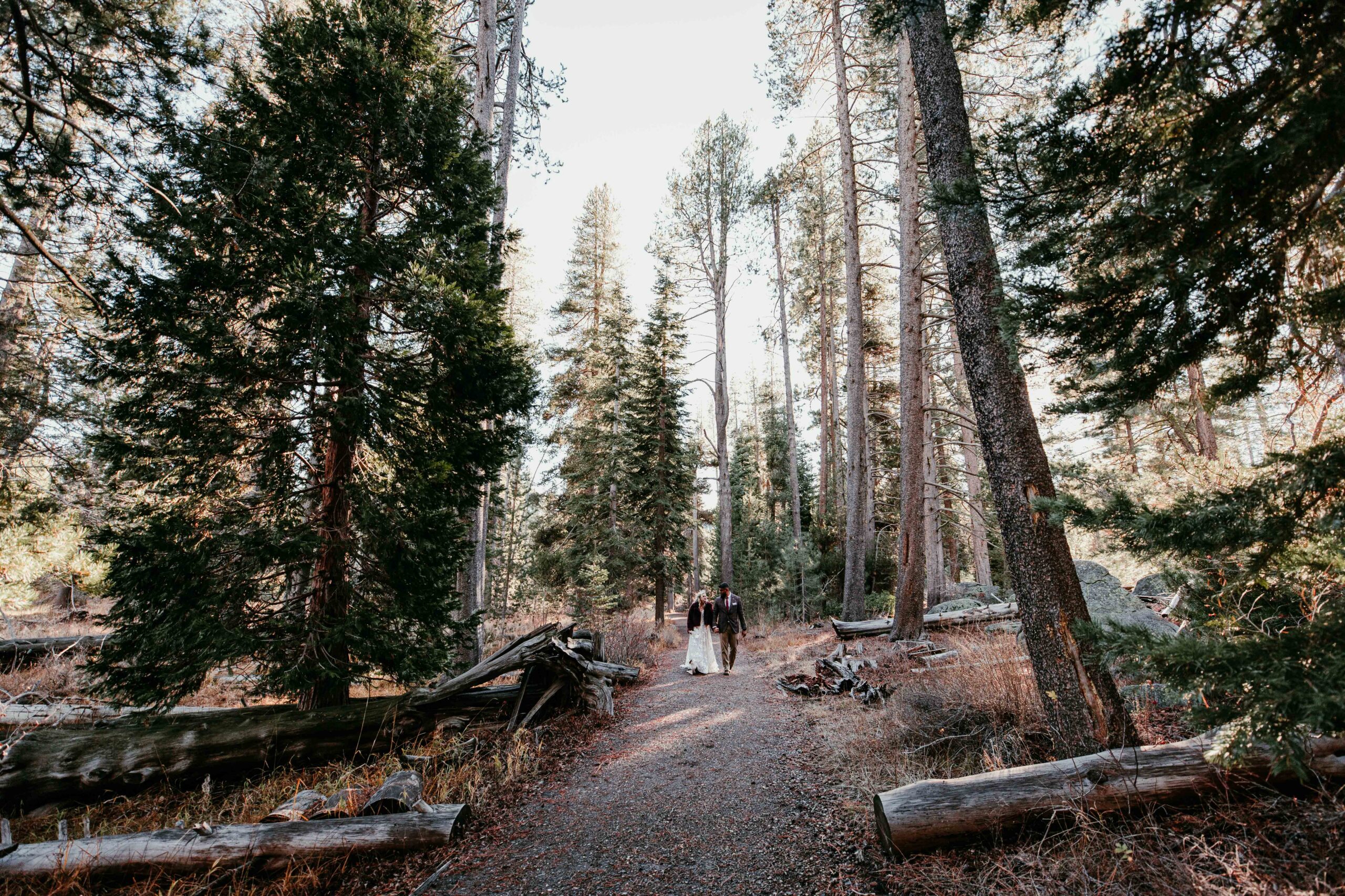 Wide forest portrait of bride and groom exploring the woods during their winter elopement in Truckee near Donner Lake.