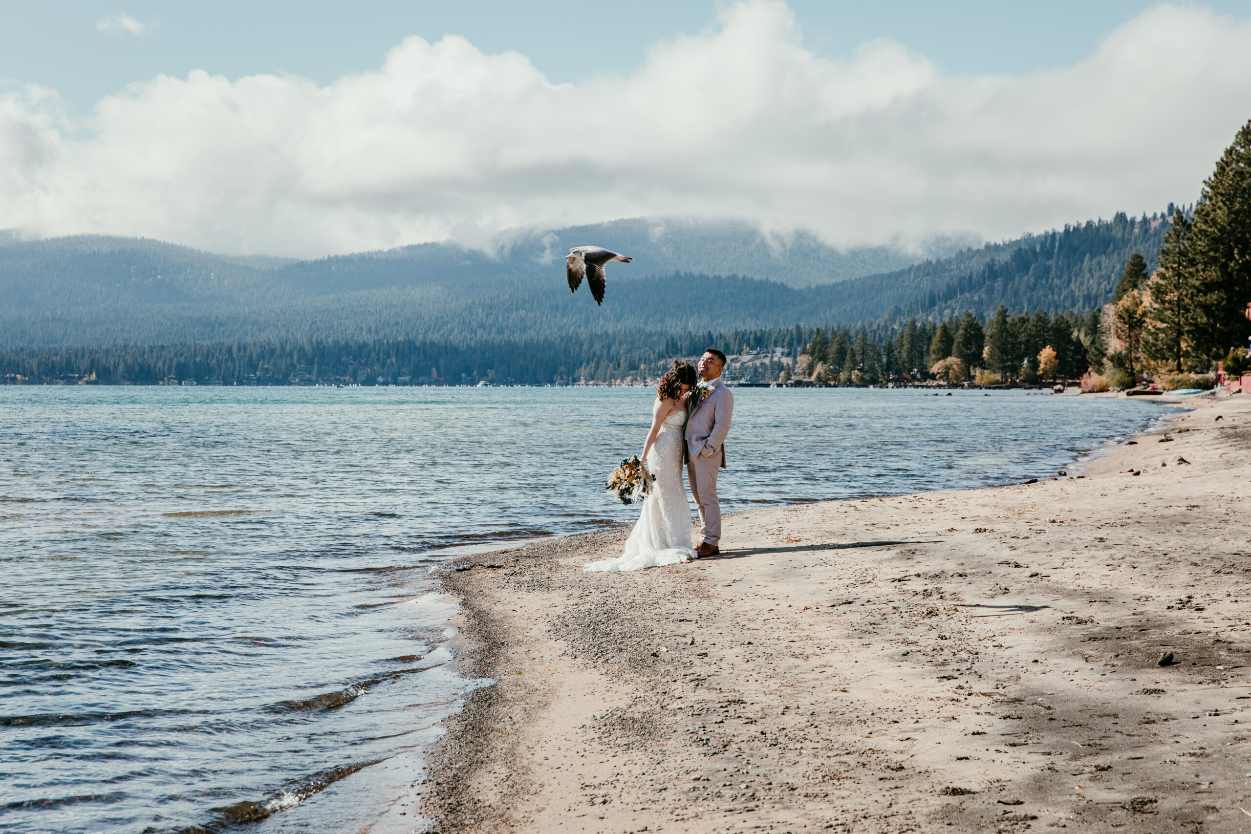 Bride and groom standing along the shoreline at Kings Beach with mountains and a bird flying overhead.