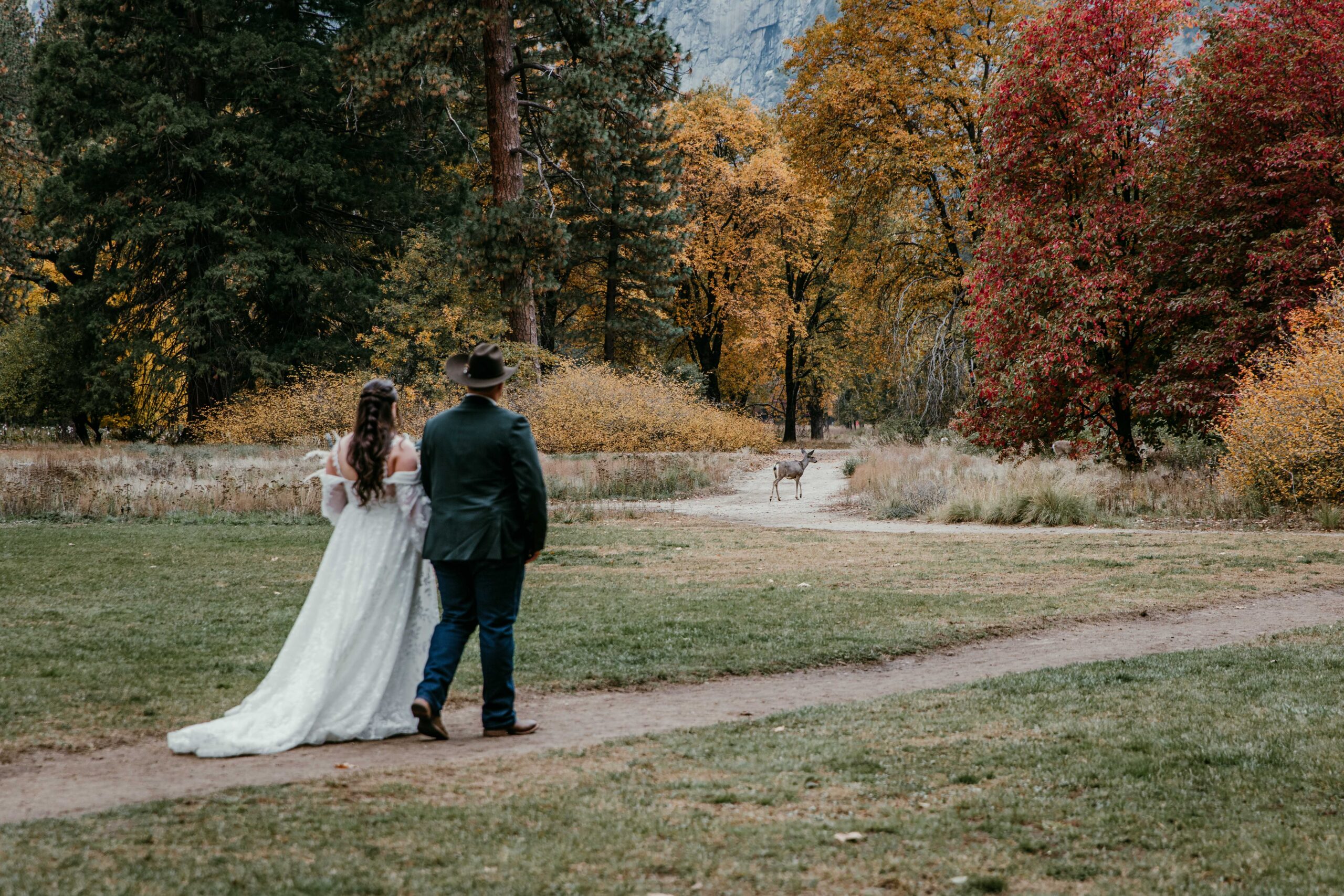 couple spotting a deer during their fall elopement in Yosemite Valley
