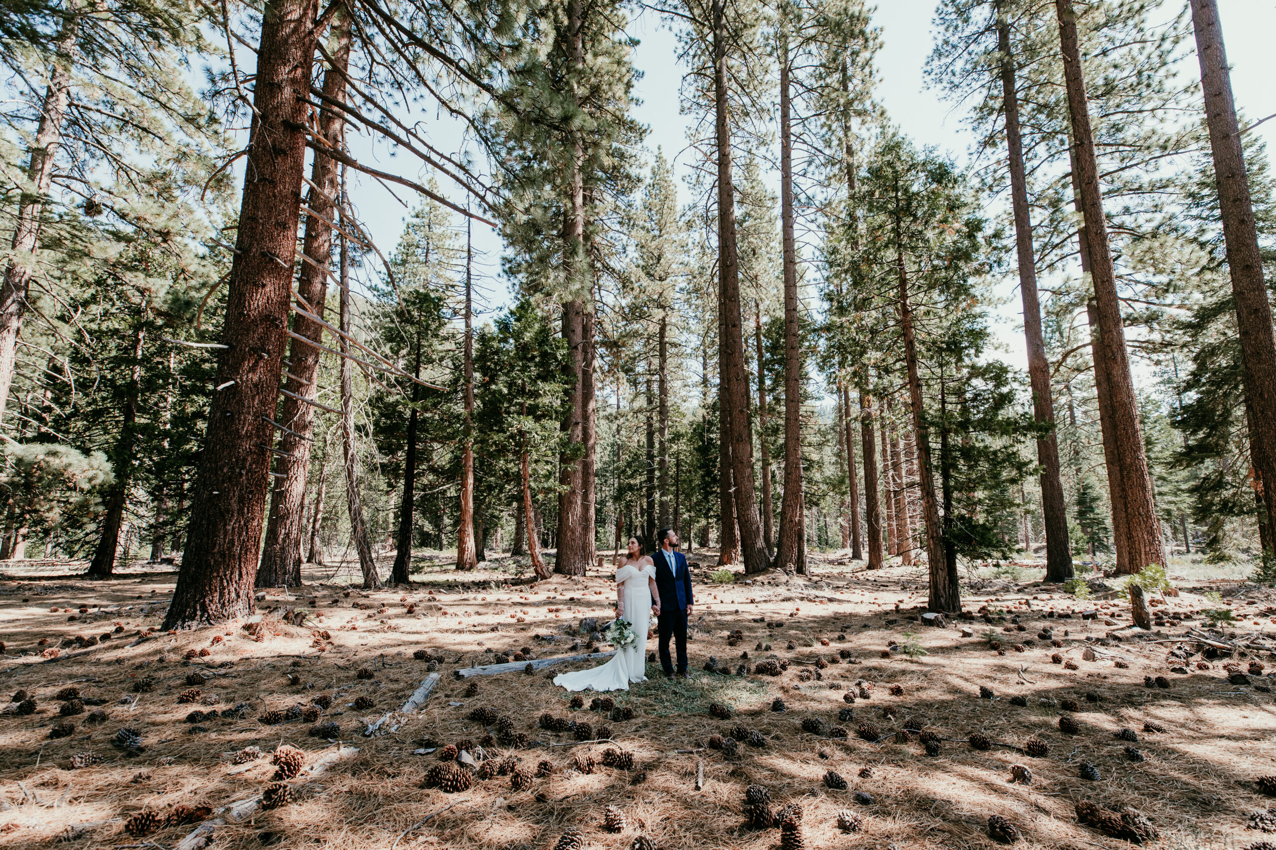 Couple in a redwood forest during an intimate California elopement surrounded by tall trees and soft natural light