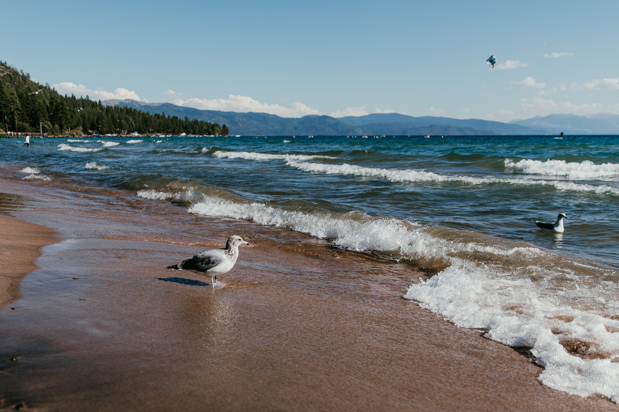 Waves washing onto a Lake Tahoe beach, with mountains along the distant shoreline.