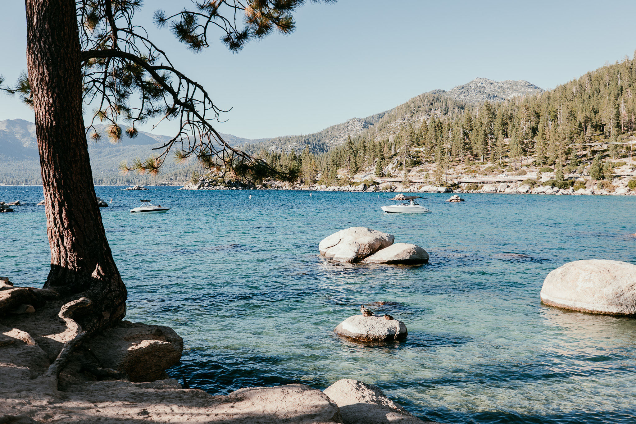Blue water and granite boulders at Sand Harbor, framed by pine trees with mountains across Lake Tahoe.